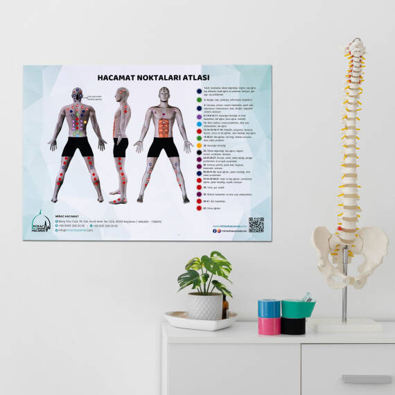 Atlas of Cupping Points - 5
