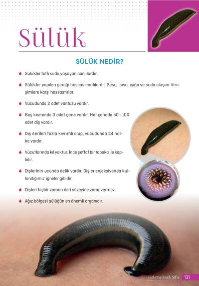 Cengiz Kaya - Traditional Healing Book - 9