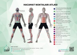 Hacamat Noktaları Atlası - 1