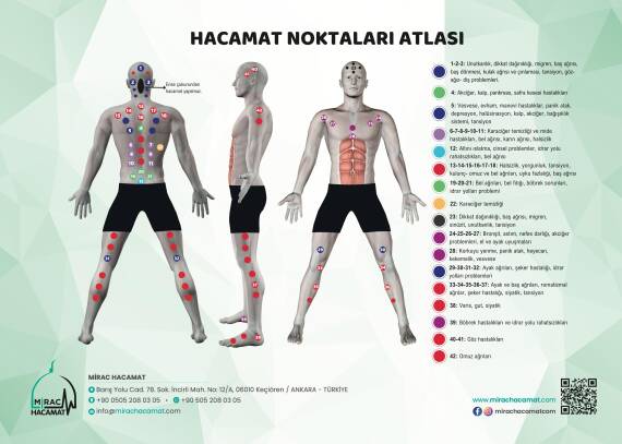 Hacamat Noktaları Atlası - 1