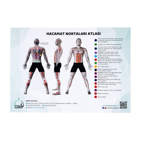 Hacamat Noktaları Atlası - 6
