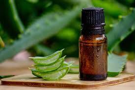 Huile d’Aloe Vera 10 ml - 1