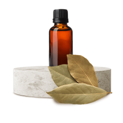 Huile de laurier 250 ml - 1