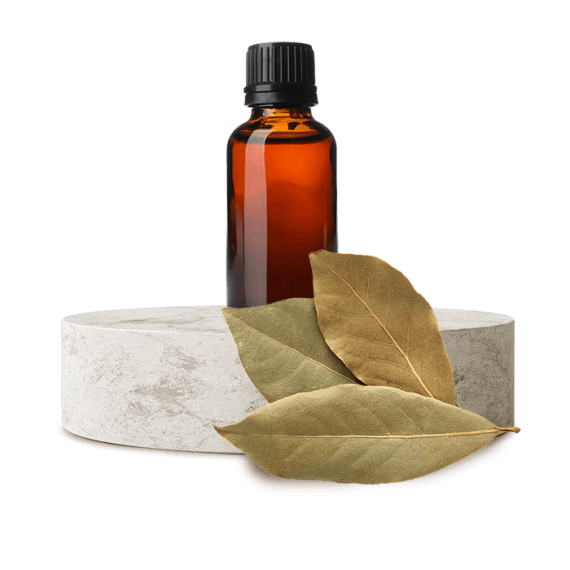 Huile de laurier 250 ml - 1