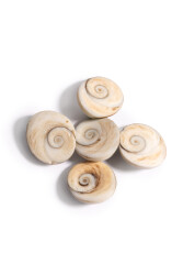 Pierre de Yılancık - 3