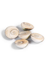 Yılancık-Stein - 4